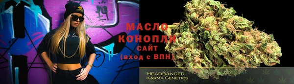тгк Абаза