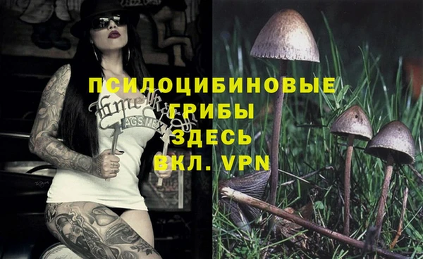 тгк Абаза