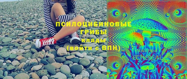 тгк Абаза