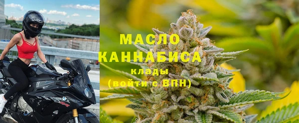 тгк Абаза