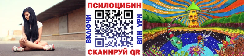 гидра зеркало  Касли  Галлюциногенные грибы Cubensis 